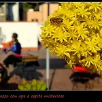 Apartment Il Rosso E Il Nero Zafferana Etnea
