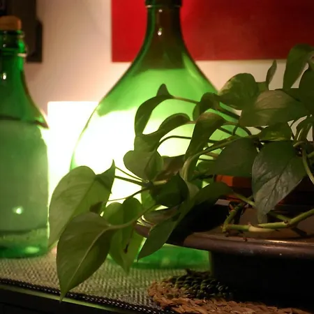 Il Rosso E Il Nero Bed & Breakfast Zafferana Etnea