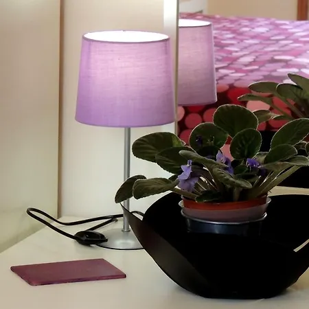 Bed & Breakfast Il Rosso E Il Nero