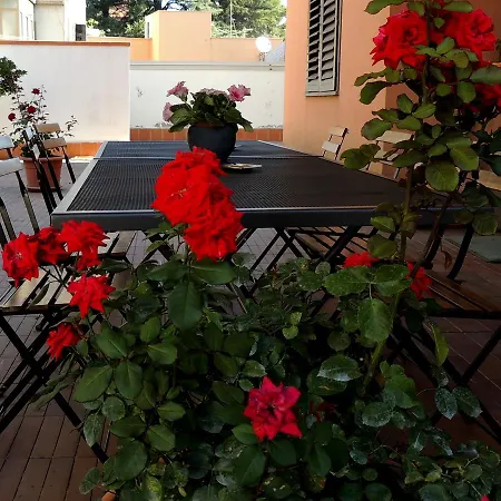 Il Rosso E Il Nero * Zafferana Etnea
