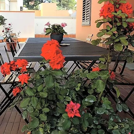 Bed & Breakfast Il Rosso E Il Nero Zafferana Etnea