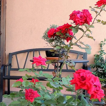 Bed & Breakfast Il Rosso E Il Nero